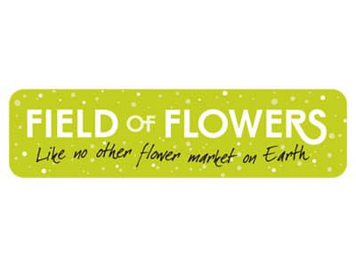 Field of Flowers